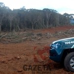Polícia Ambiental flagra mais um desmatamento em Palmeira, São João do Triunfo e Teixeira Soares