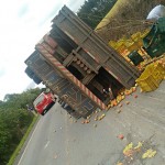 Caminhão tomba na PR 151 no Pinheiral_2