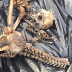 Achada ossada humana em São Mateus do Sul (1)