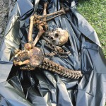 Achada ossada humana em São Mateus do Sul