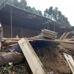 Caminhão carregado de madeira tomba na PR 151 em Coxilhão _São João do Triunfo_5