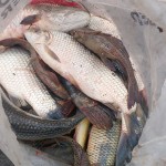 Polícia Ambiental prende três por pesca predatória em São João do Triunfo_3