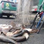 Polícia Ambiental prende três por pesca predatória em São João do Triunfo_4