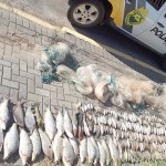 Três pessoas são presas por pesca predatória em Porto Amazonas_1