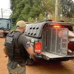 Caminhão que teria sido roubado em Palmeira é recuperado pela polícia_4_foto Polícia Civil