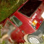 Acidente entre caminhão carregado de boi e Fiat Uno deixa motorista morto-6