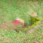 Mulher desaparecida em Porto Amazonas é econtrada morta na PR-427_foto Rede Social WhatsApp