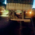 Grave acidente entre carro e caminhão na BR 277 em Palmeira deixa uma pessoa morta-Rede Social-4
