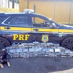 PRF apreende 150  toneladas de drogas no Paraná e 22 só nos Campos Gerais -2 - Divulgação PRF