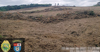 1-Polícia Ambiental fiscaliza área de desmatamento ilegal em Palmeira e aplica multa de R$ 328 mil (4)-foto divulgação Polícia Ambiental