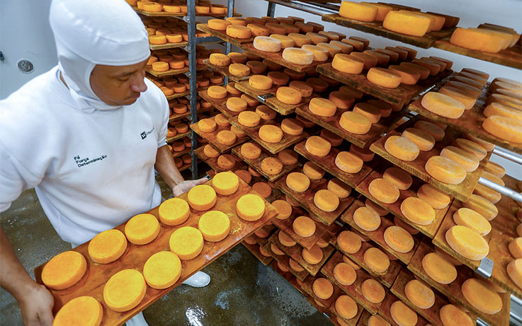 Na foto, o queijo de Witmarsum. Foto GilsonAbreu/Aen