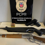 Armas Violencia domestica PCPR Palmeira