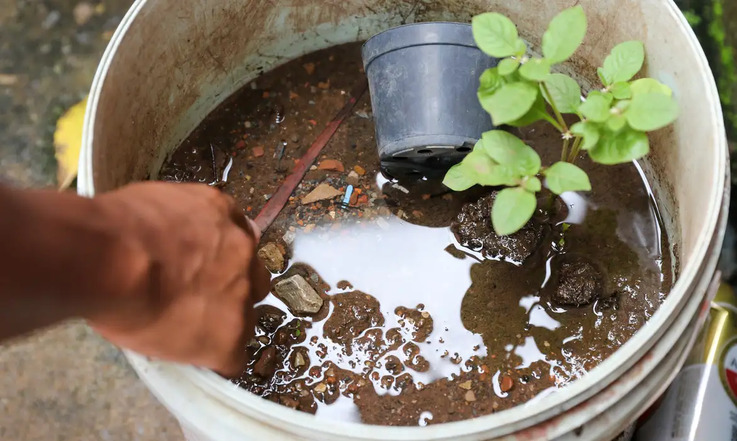 Dengue agua parada Fabio Rodrigues-Pozzebom Agência Brasil