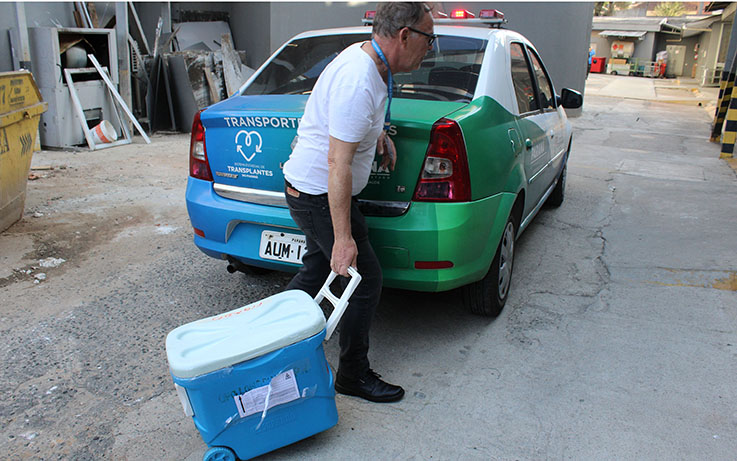 orgaos_transplante_karolina_fabbris_pacheco_aen_18_1