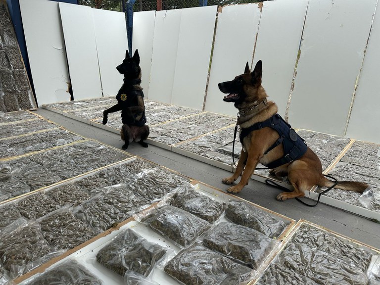 Portas com drogas PRF