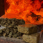 Incineração drogas Palmeira - PCPR (1)