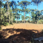 Lapa Policia Ambiental (1)