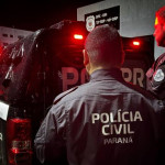 PC PR Palmeira