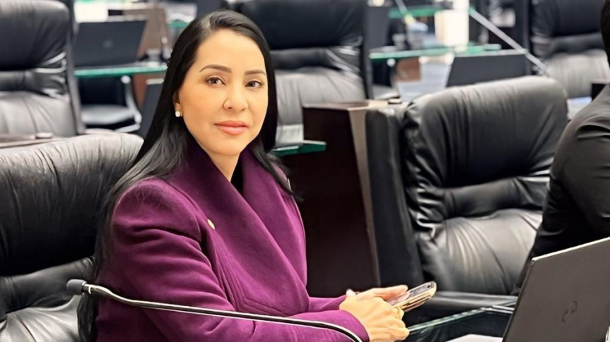 mara lima Lilas - Assessoria Parlamentar