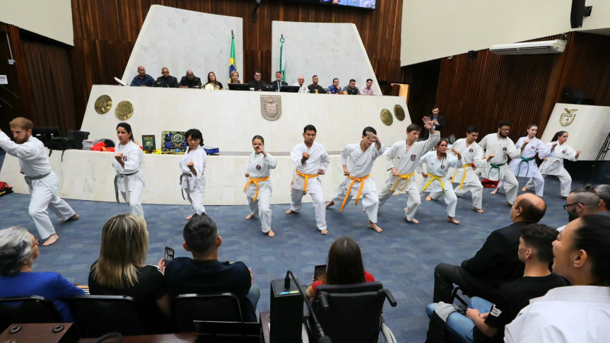 faixa karate - Valdir AmaralAlep