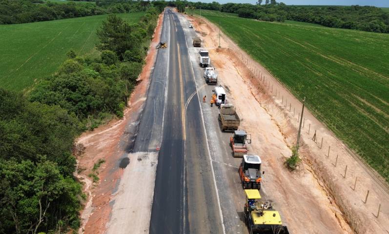 pr-151_whitetopnta_grossa_palmeira_26_13