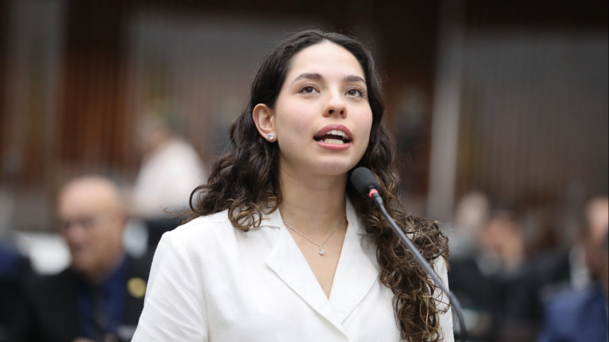 Deputada Ana Júlia Valdir Amaral Alep