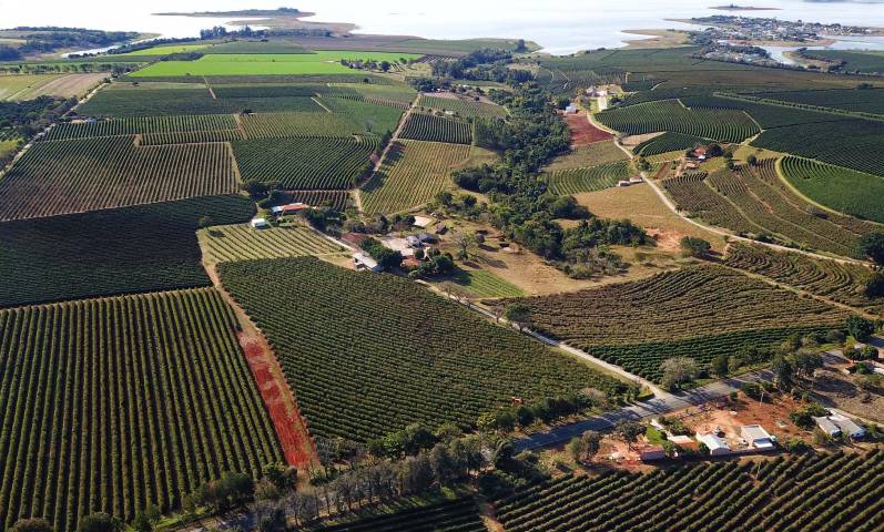 Plantações - José Fernando Ogura_Arquivo AEN