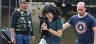 resgate animal enchente Rafa Neddermeyer_Agência Brasil