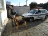 AÃ§Ã£o com esforÃ§o conjunto da policia e bombeiros em Porto Amazonas (10/05/2012)